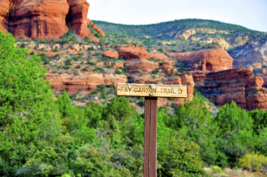 A wooden sign post reading "Fay Canyon Trail" casted in front of wooded canyon background.